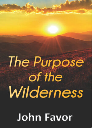 The Purpose of the Wilderness – John Favor