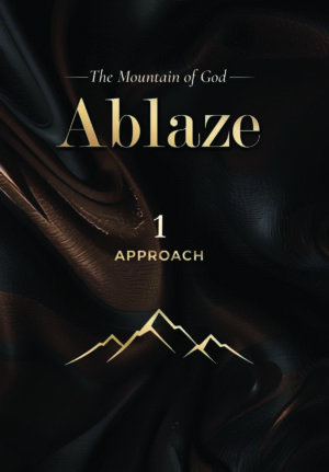 ABLAZE series: 1. Approach – Marelize van Rensburg