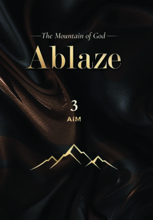 ABLAZE series: 3. Aim – Marelize van Rensburg