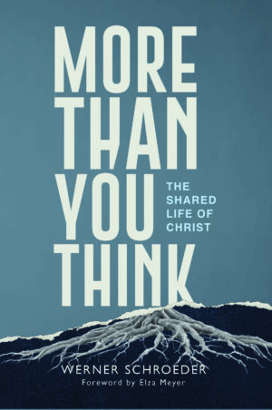 More than you think – Werner Schroeder